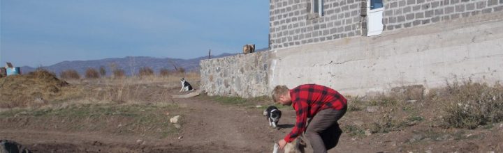 Armenia’s Horse Whisperers: Healing at the Centaur Hippotherapy Center