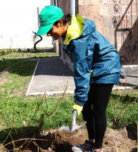 Volunteers Leave a Green Trace in Armenia